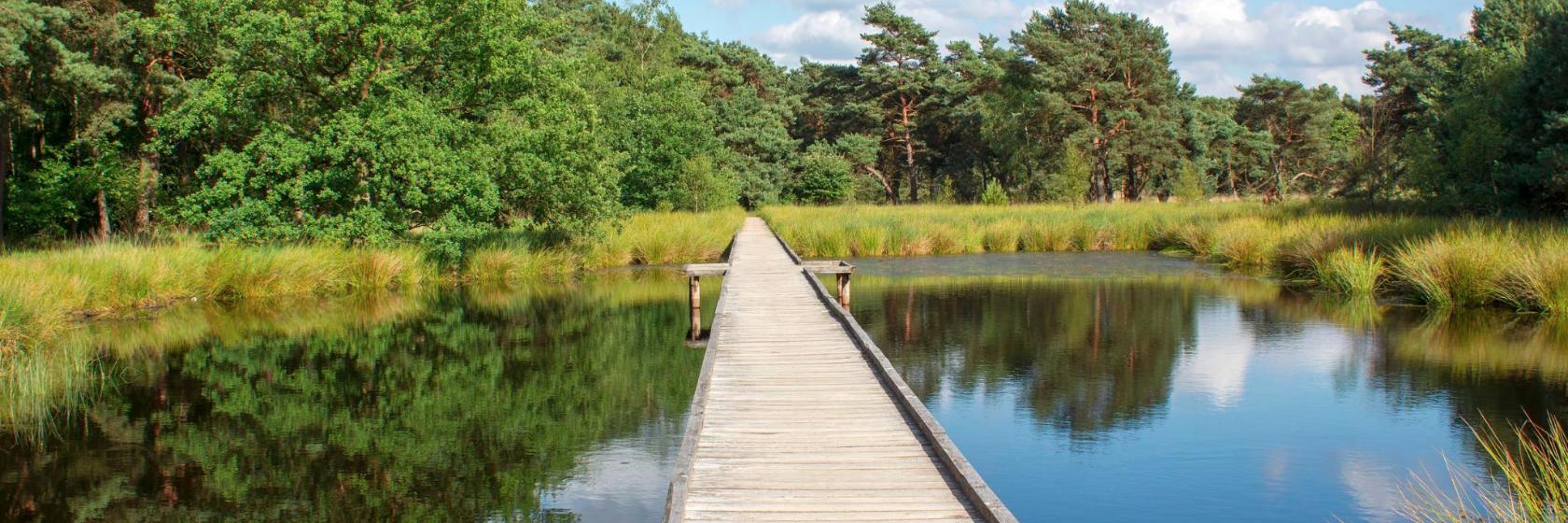 Nationalpark De Maasduinen